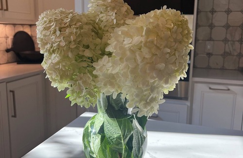 Hendersonville House | New Lake House 20 minutes to Downtown Nashville! Water slide, Movie theater ETC!