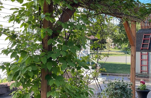 University Area House | New Listing! 1400 sq ft 3 bedroom-queen beds-stunning mountain views