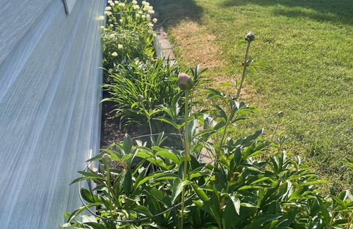 University Area House | New Listing! 1400 sq ft 3 bedroom-queen beds-stunning mountain views