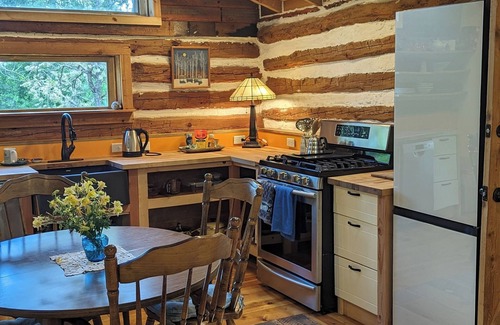 Durango - Purgatory Cabin | New Listing, Premier Host, Historic Cabin newly remodeled, private, quiet, CLEAN