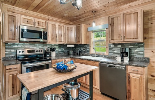 Cosby Cabin | NEW LISTING! THE BLUE BEAR! Quiet and private on 1.77 acres.