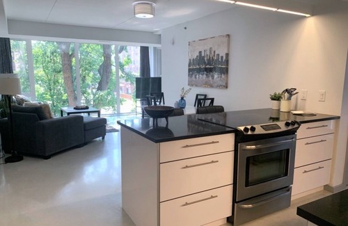 Winnipeg Condo | NEW ! MODERN 1500 SF 2 BR 2.5 BA -ULTRA LUXURIOUS CONDO -OSBORNE VILLAGE !