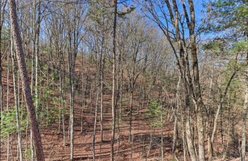 Murphy House | New Serene, Fun & Comfy Cabin- Covered Deck, Grill, Arcade