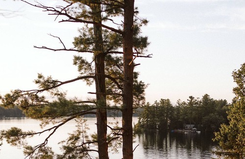 Minden Hills Cottage | NEWLY BUILT boutique cottage 4 Seasons w/hot tub & sauna