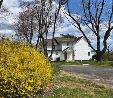 West Fairfax House | Newly Renovated Modern Farmhouse
