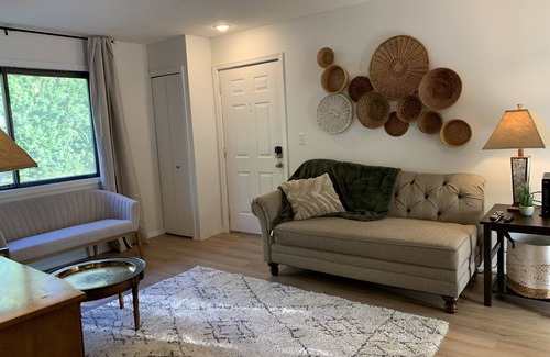 Penfield Condo | Newly renovated, relaxing space close to U of I and hospitals- high speed WiFI