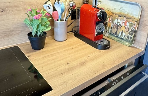 Alpthal Apartment | Newly renovated vacation apartment in alpine chic style directly on the Grossen Mythen