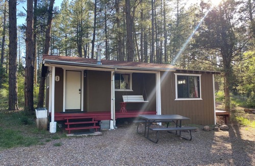 Payson Cabin | Newly updated! Indoor Jacuzzi & Fireplace in xtra room with kid cot; porch swing