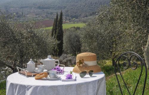 Simignano Apartment | Nice Apartment In Ancaiano