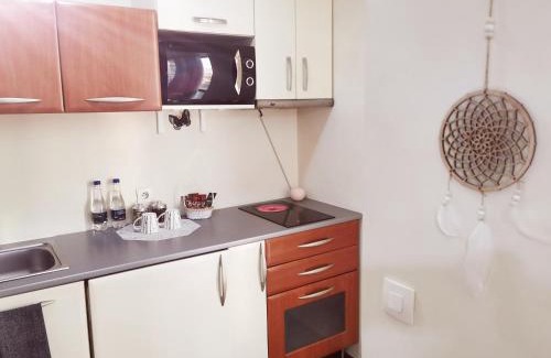 Baia Mare Apartment | Nice & economic Studio