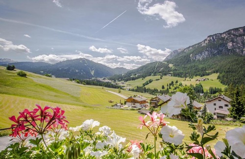 Badia Apartment | Niciora