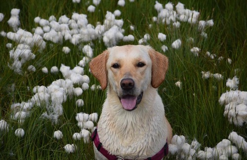 Pfalzen House | Niederhaeusererhof