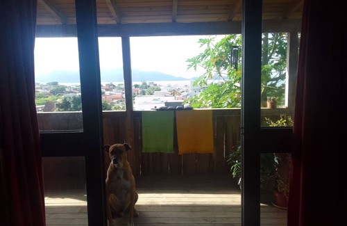 Morrinhos House | Nina's House