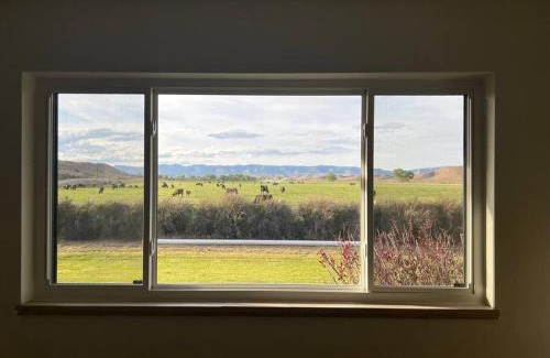 Wellington House | Nine Mile’s Farmhouse Retreat