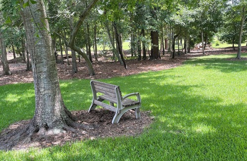 Bon Secour House | No condos here, Close to Beaches and many other actiities