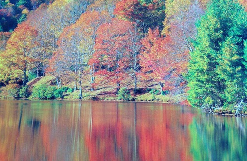 Alpendorf Cabin | No longer renting out.