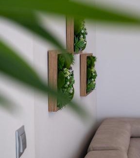 Loutra Oraias Elenis Apartment | Noa Mare