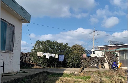 Aewol House | Noelle's "Cozy Jeju Home share" for Jeju travelers. (women only)