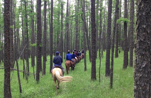 Tov House | Nomad Horse Camp