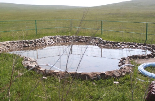 Ulaanbaatar Other | Nomad Horse Camp- Mongolian first horseback riding club