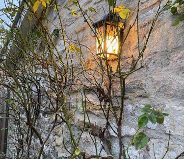 Bridport House | Norburton Hall Cottages