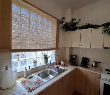 Vrontados Apartment | Not quite a treehouse