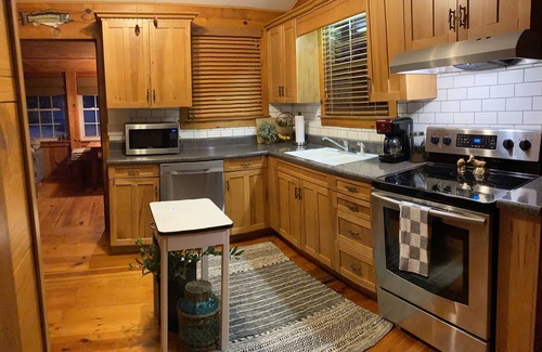 Choestoe Cabin | Nottley River Front Cabin 2 Bedroom Chattahoochee Ocoee Wilderness Near Vogel