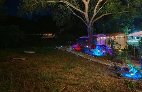 Agua de Dios Other | Novaglamp Alma, amor y bosque
