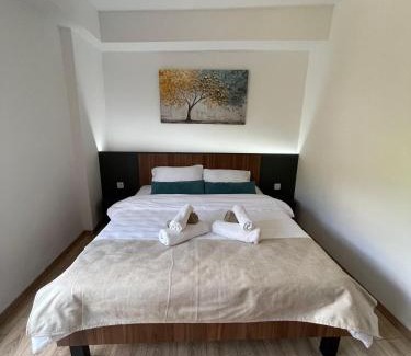 North Macedonia Apartment | NovAS Apartment