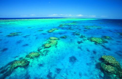 Manunda Resort | NRMA Cairns Holiday Park