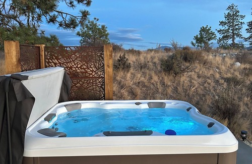 Okanagan-Similkameen Cabin | nSpectacular Lakeview Private 2 BDR Mtn Retreat