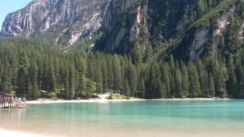 Calalzo di Cadore Apartment | Nuovo Margiolà Dolomiti