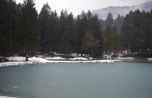 Calalzo di Cadore Apartment | Nuovo Margiolà Dolomiti