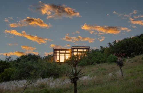 Nelson Mandela Bay Resort | Nyosi Wildlife Reserve