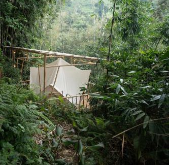 Penebel Other | Nysa Forest Sanctuary
