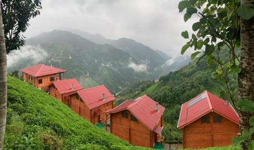 Ayder Apartment | Oşvacu Dağ Evleri