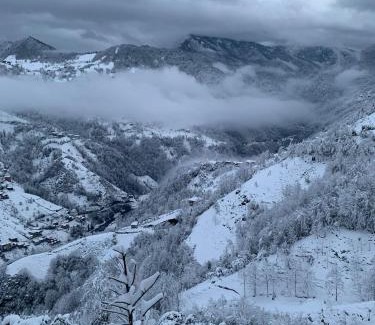 Ayder Apartment | Oşvacu Dağ Evleri