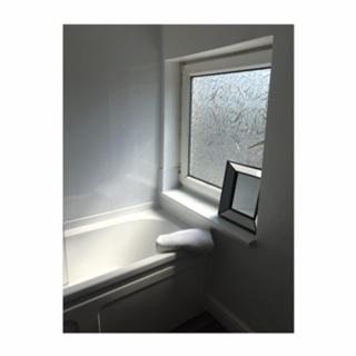 Goole House | O'Hara House