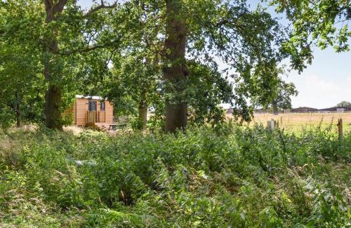 Irstead House | Oak - Ukc4846