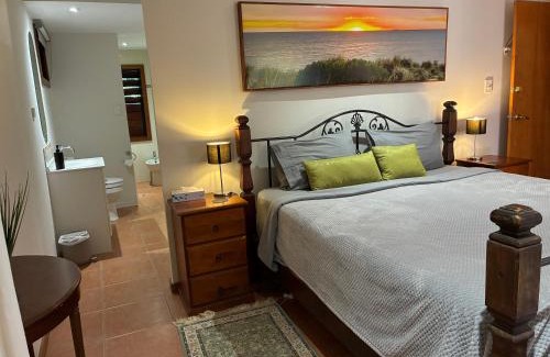 Whitfield House | Oasis, in leafy Whitfield.