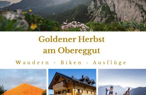 Hof bei Salzburg Apartment | Obereggut