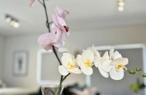 Cape Town Apartment | Obs Centre Twin Peaks