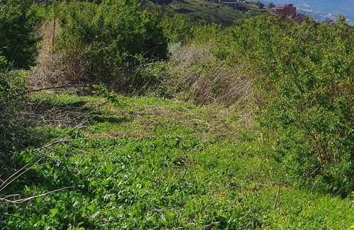 San Marcos Condo | Ocean relax Playa San Marcos, Icod de los Vinos, Tenerife, Teide