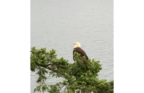 Gibsons Bed & Breakfast | Ocean Retreat on the Sunshine Coast BC