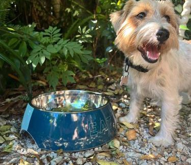 Ocean Shores Hotel | Ocean Shores Motel