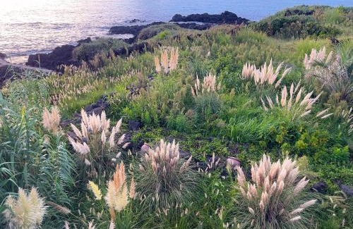 Aewol Apartment | Ocean View Riad Jeju