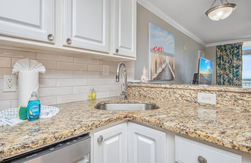 Myrtle Beach Condo | Oceanfront One-Bedroom Condo with Stunning Paradise Views