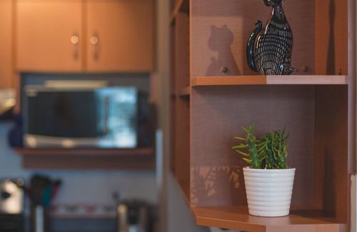 Downtown Victoria Condo | Oceanfront Penthouse with Private Rooftop Patio