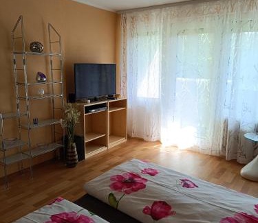 Offenburg Apartment | Offenburg Apartment