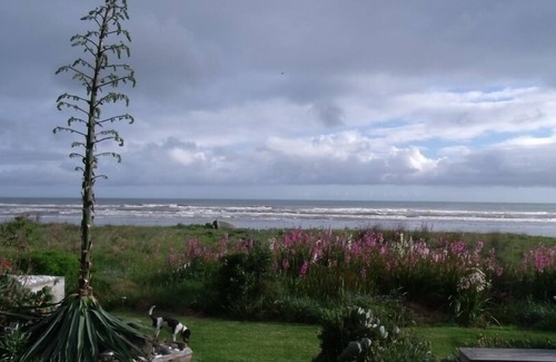 Ohope House | OHOPE, ABSOLUTE BEACH FRONT